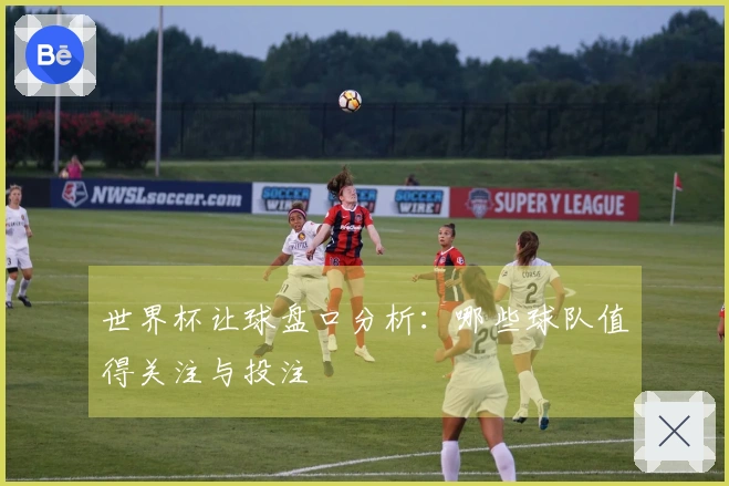 世界杯让球盘口分析：哪些球队值得关注与投注