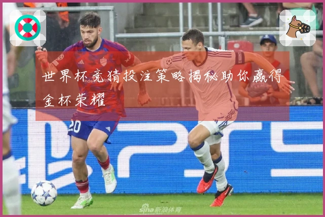 世界杯竞猜投注策略揭秘助你赢得金杯荣耀