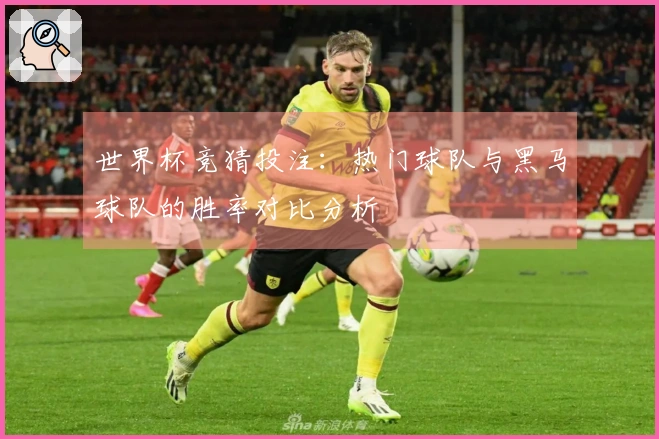 世界杯竞猜投注：热门球队与黑马球队的胜率对比分析