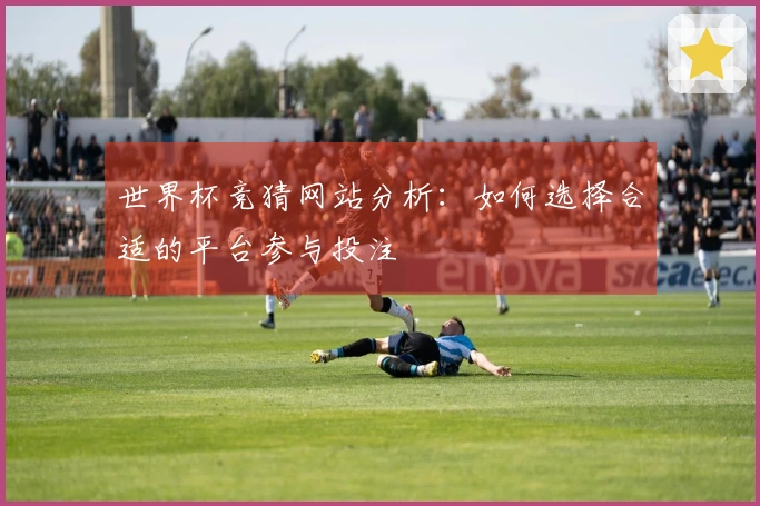 世界杯竞猜网站分析：如何选择合适的平台参与投注
