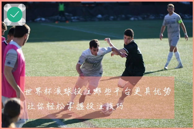 世界杯滚球投注哪些平台更具优势 让你轻松掌握投注技巧