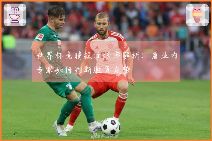 世界杯竞猜投注赔率解析：看业内专家如何判断胜负走势