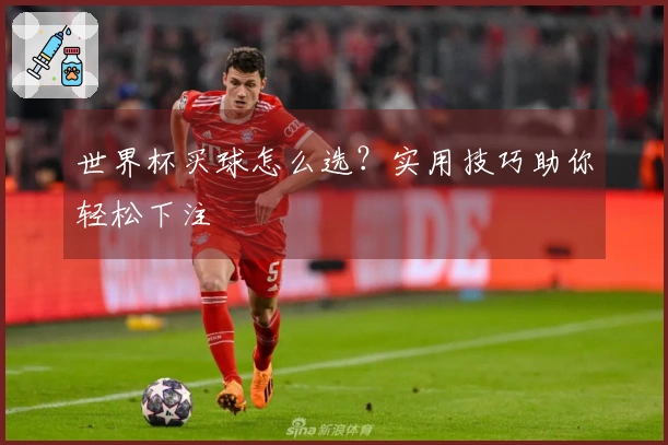 世界杯买球怎么选？实用技巧助你轻松下注