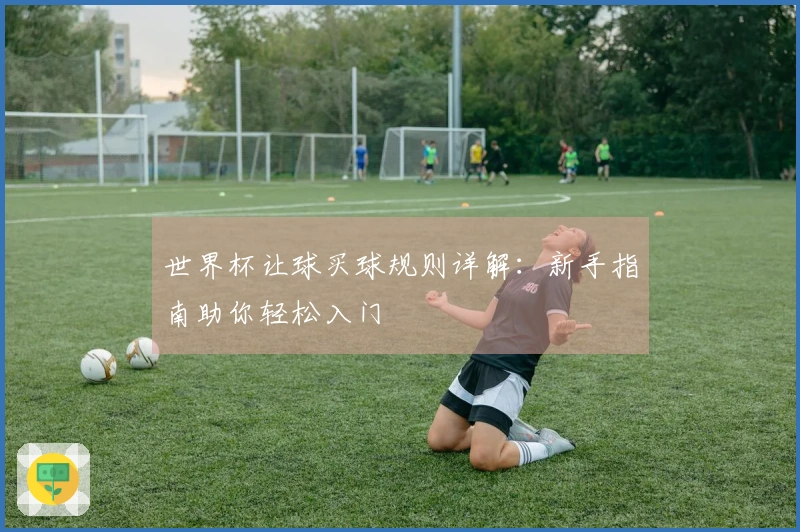 世界杯让球买球规则详解：新手指南助你轻松入门