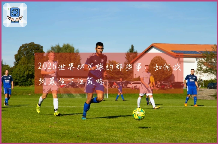 2026世界杯买球的那些事，如何找到最佳下注策略