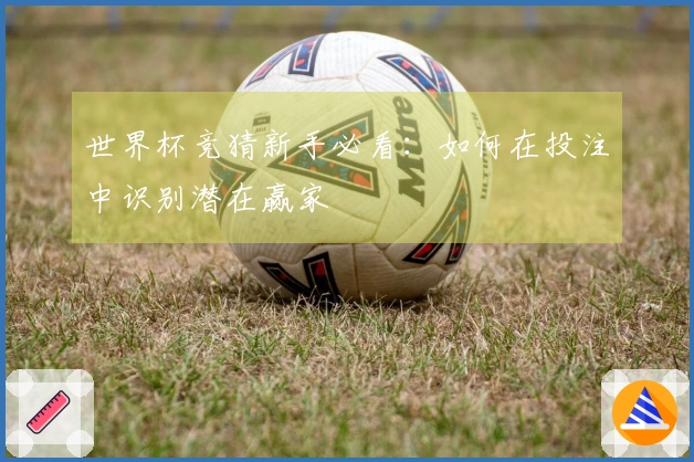 世界杯竞猜新手必看：如何在投注中识别潜在赢家