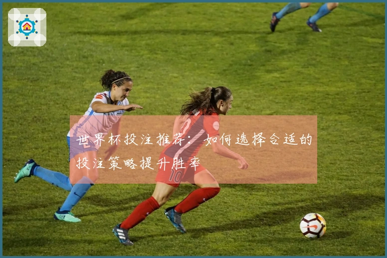 世界杯投注推荐：如何选择合适的投注策略提升胜率
