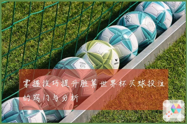 掌握技巧提升胜算世界杯买球投注的窍门与分析