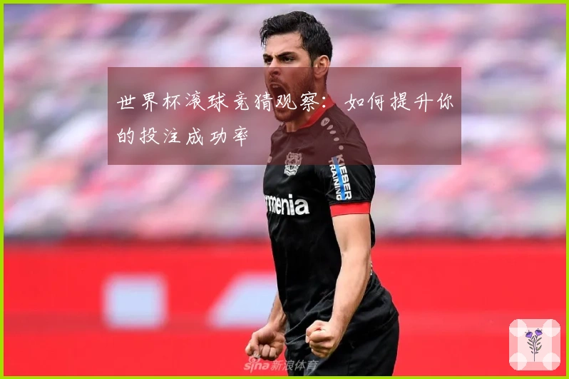 世界杯滚球竞猜观察：如何提升你的投注成功率