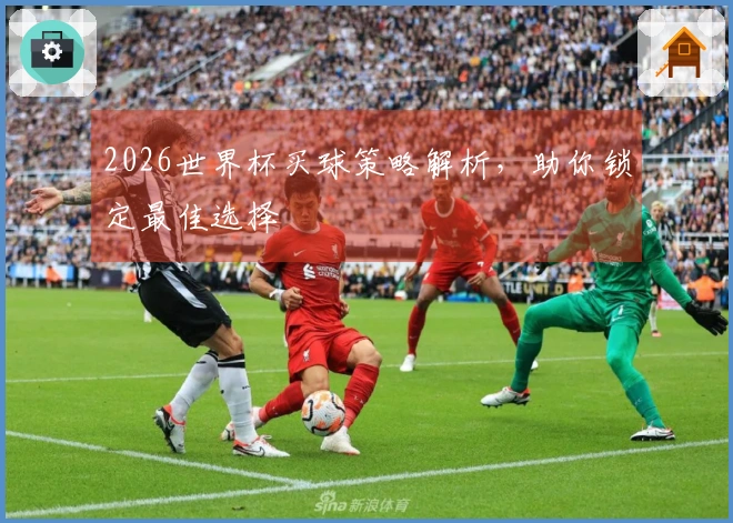 2026世界杯买球策略解析，助你锁定最佳选择